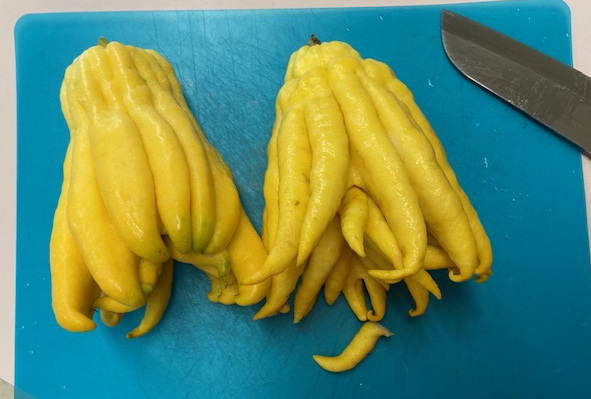Candied Buddha's Hand Citron