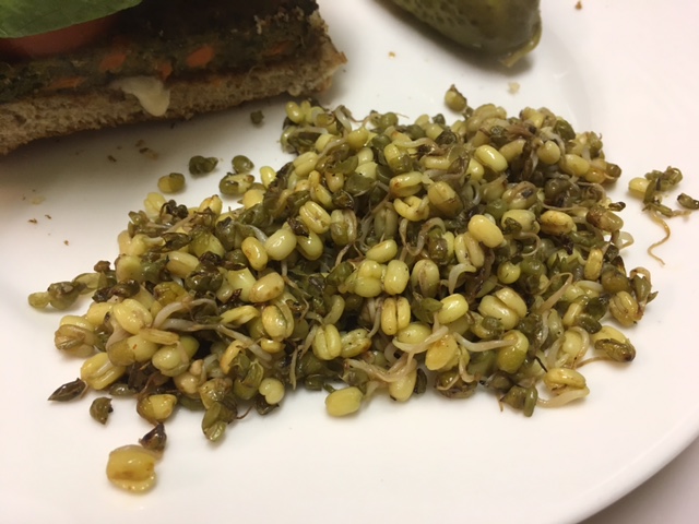 Mung Bean Sprout Saute